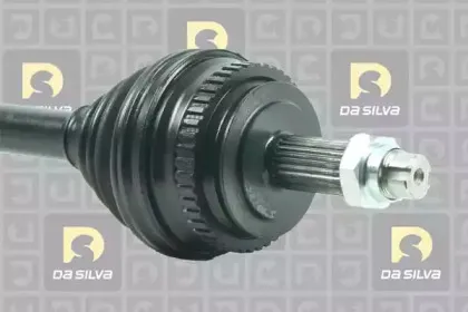 dasilva-1121at