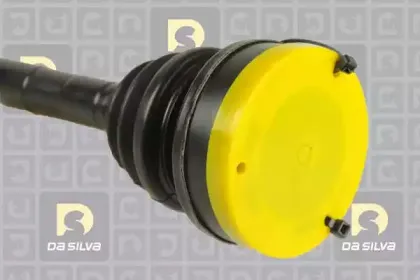 dasilva-1125at