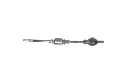 dasilva-1138t