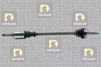 dasilva-jc121