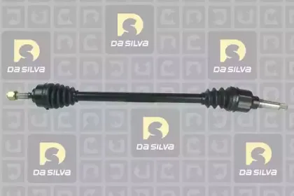 dasilva-jc1234