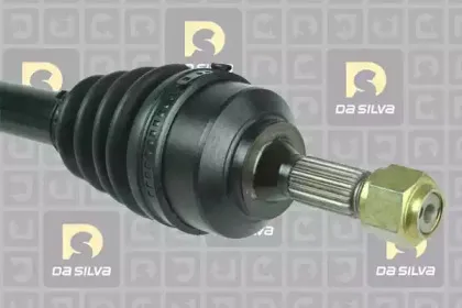 dasilva-jc1234