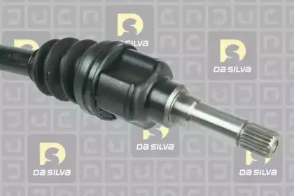dasilva-jc1234