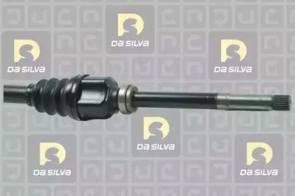 dasilva-jc1236