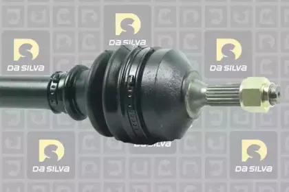 dasilva-jc1236