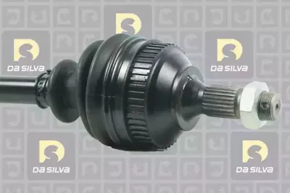 dasilva-163at
