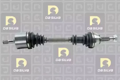 dasilva-jc172
