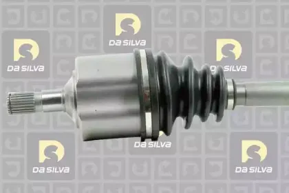 dasilva-jc172