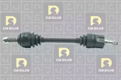 dasilva-jc18085