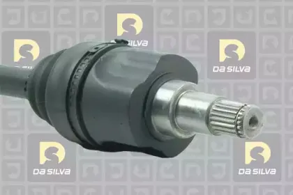 dasilva-jc18085