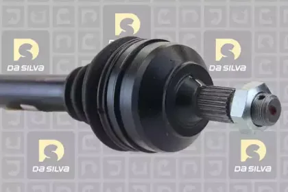 dasilva-jc185