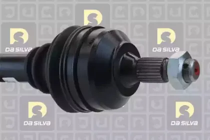 dasilva-jc186