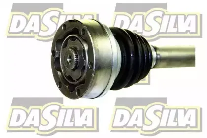 dasilva-2020t