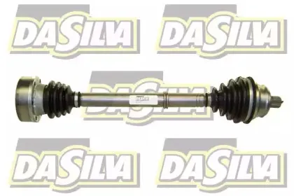 dasilva-2021t
