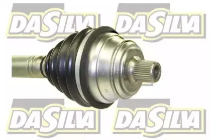 dasilva-2021t