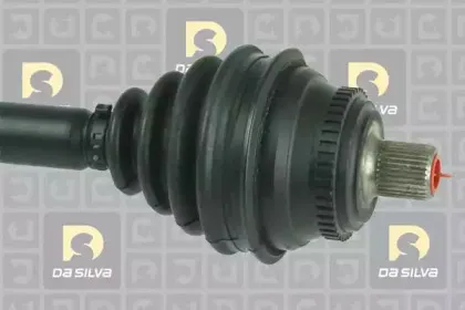 dasilva-2146at