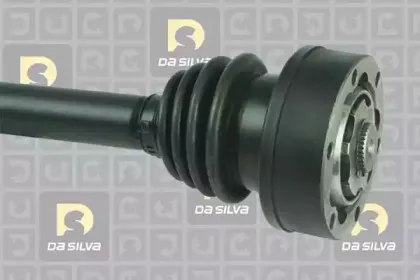 dasilva-2146at