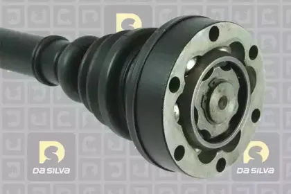 dasilva-2158at