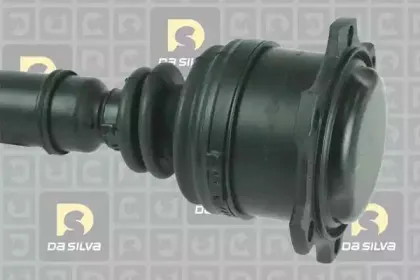 dasilva-2205at