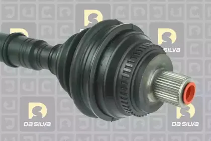 dasilva-2211at
