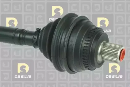 dasilva-2221at
