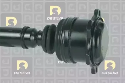 dasilva-2236at