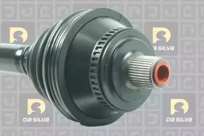 dasilva-2237at