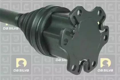 dasilva-2246at