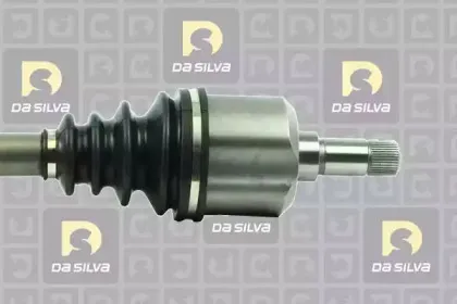 dasilva-306at