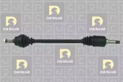 dasilva-311212t