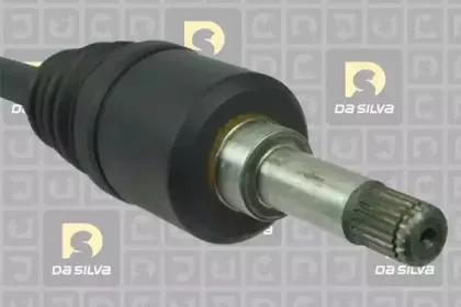 dasilva-311212t