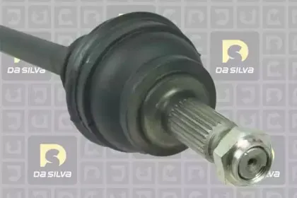 dasilva-311212t