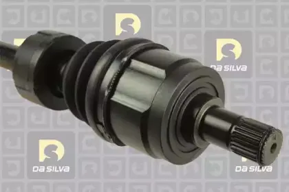dasilva-311218at