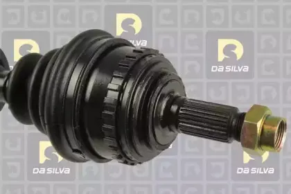 dasilva-311223at