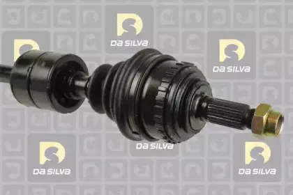 dasilva-311223at