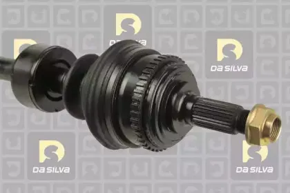 dasilva-311223bt