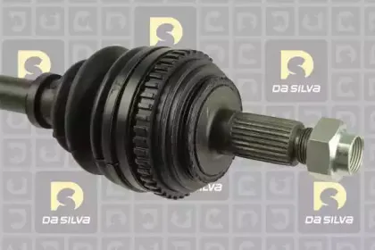dasilva-311225at
