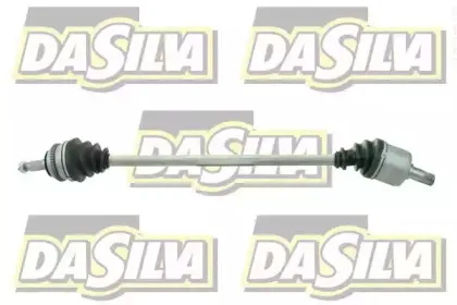 dasilva-311228at