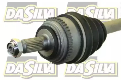 dasilva-311228at