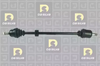 dasilva-311228t