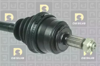 dasilva-311228t