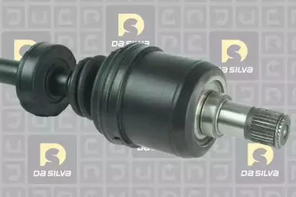 dasilva-311229at