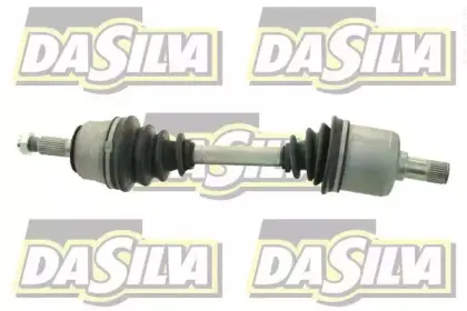 dasilva-311229t