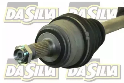 dasilva-311229t