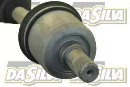 dasilva-311229t