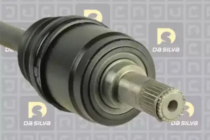 dasilva-311232at