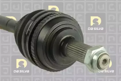dasilva-311232at