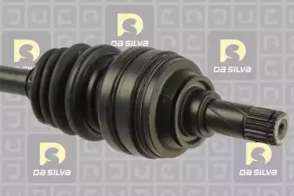 dasilva-31206at