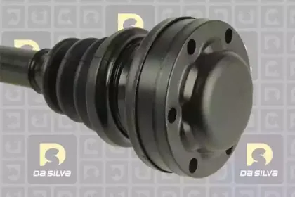 dasilva-31216t