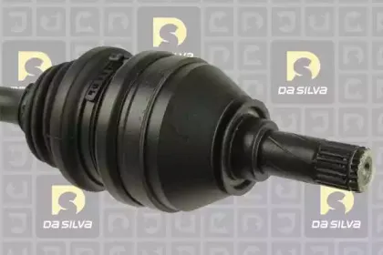 dasilva-31238at